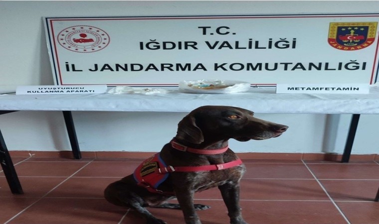 Iğdırda uyuşturucu operasyonu: 5 zanlı tutuklandı