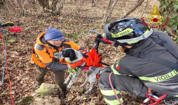 İtalya’da kuyuya düşen köpeği itfaiye kurtardı