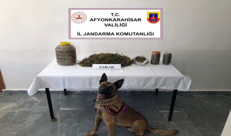 Jandarma 1 kilo 868 gram esrar ele geçirdi