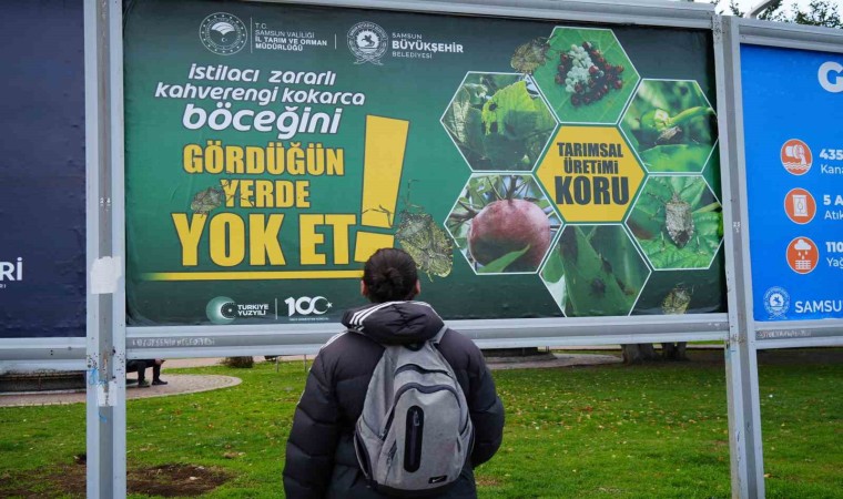 Kahverengi kokarcayla mücadele billboardlarda: “Gördüğün yerde yok et”