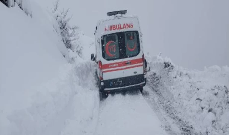 Kapalı mezra yolu açılıp, hamile kadın hastaneye ulaştırıldı