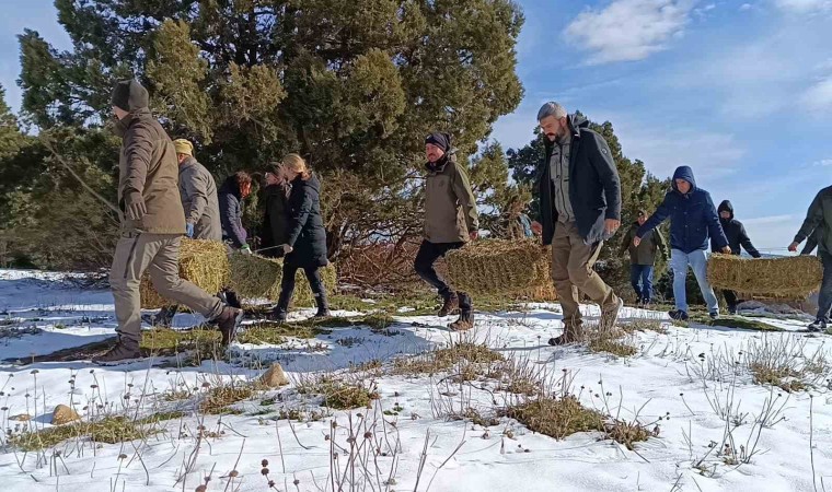 Kar altındaki Spilde yaban hayatı unutulmadı