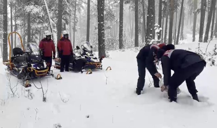 Karsta jandarma yaban hayvanlarına yiyecek bıraktı