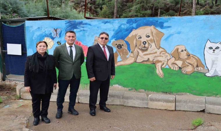 Kaymakam Kaya, Marmaris Geçici Hayvan Bakımevini gezdi