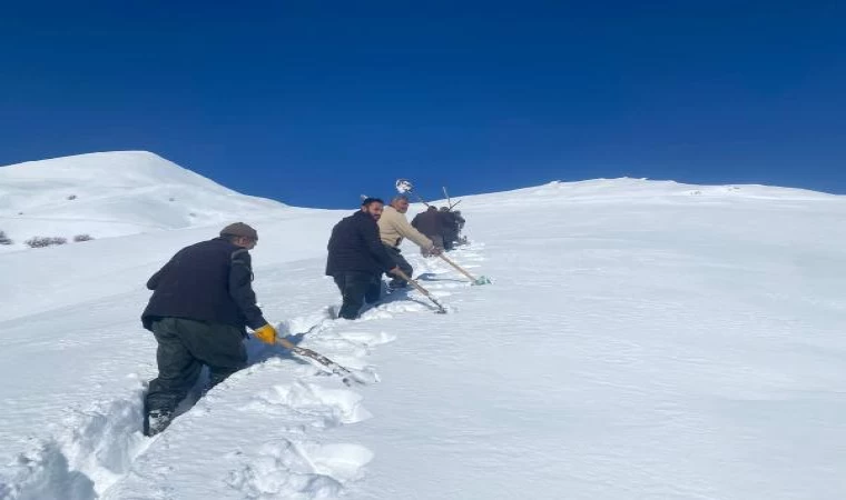 Küreklerle karlı bölgeyi aşıp, mahalleye su getirdiler