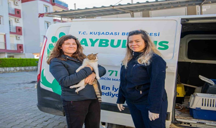 Kuşadası Belediyesinin Haybulansı 78 bin hayvana müdahale etti