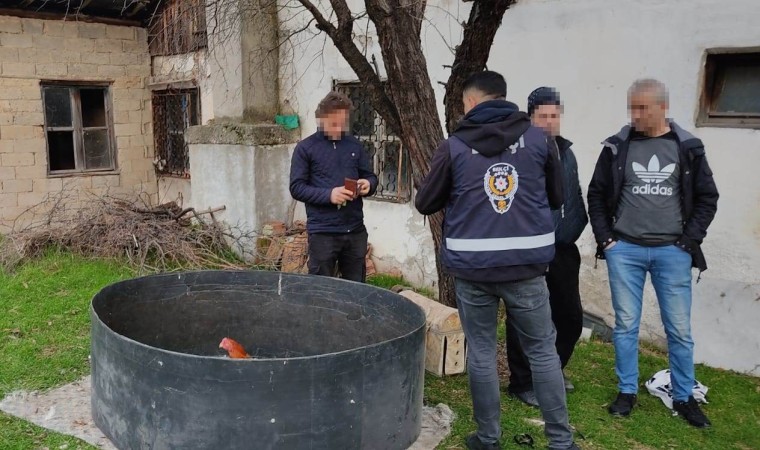 Kütahyada horoz dövüşüne polis baskını