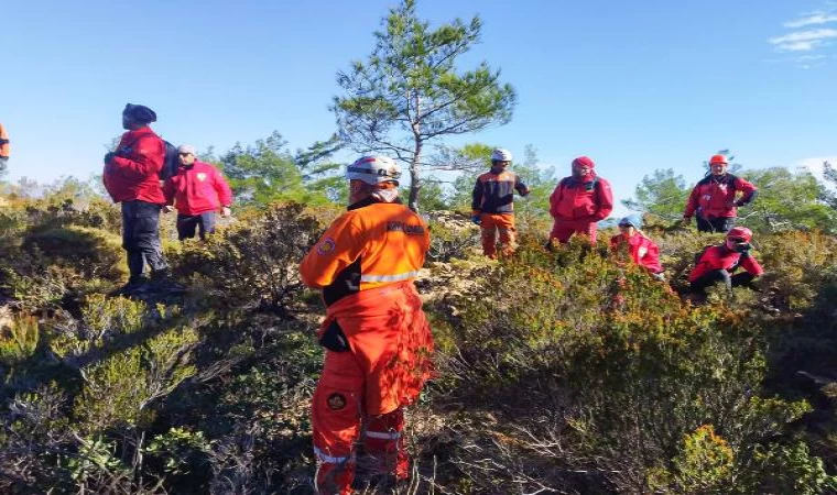 Mantar toplamaya gittiği ormanda kaybolmuştu, aramalar 8 gün sonra yeniden başladı