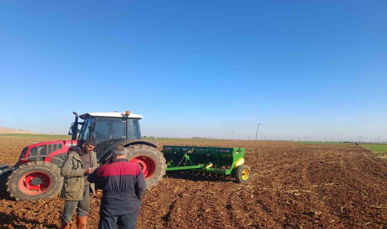 Mardin Ovasında buğday ekimi başladı