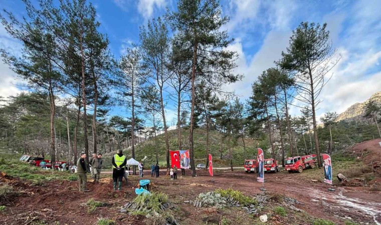 Marmarisin ilk tescilli bal ormanında 5 bin fidan dikildi