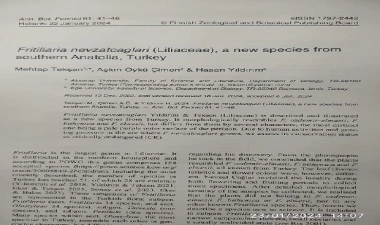 Mersin’de keşfettiği bitkiye ismi verildi: Fritillaria Nevzatcaglari