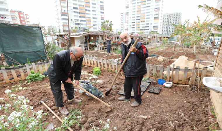 Mezitlinin Hobi Bahçelerine büyük ilgi