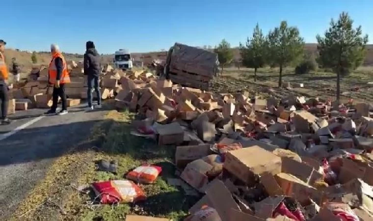 Mısır ve makarna yüklü 2 TIR, kafa kafaya çarpıştı: 2 ölü, 1 yaralı