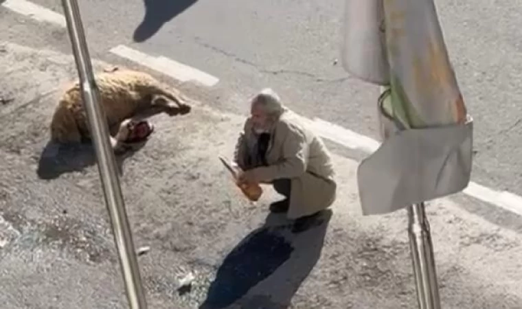 Ölen koyunuyla gelip, bıçak ve benzinle eylem yapan besici gözaltına alındı