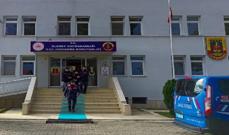 Ordu’da 1 ton fındık hırsızlığına tutuklama