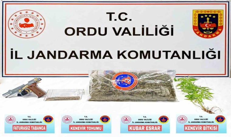 Orduda uyuşturucu operasyonu: 1 gözaltı