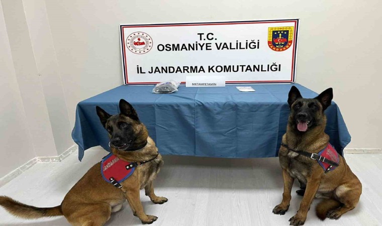 Osmaniyede jandarmadan uyuşturucu operasyonu