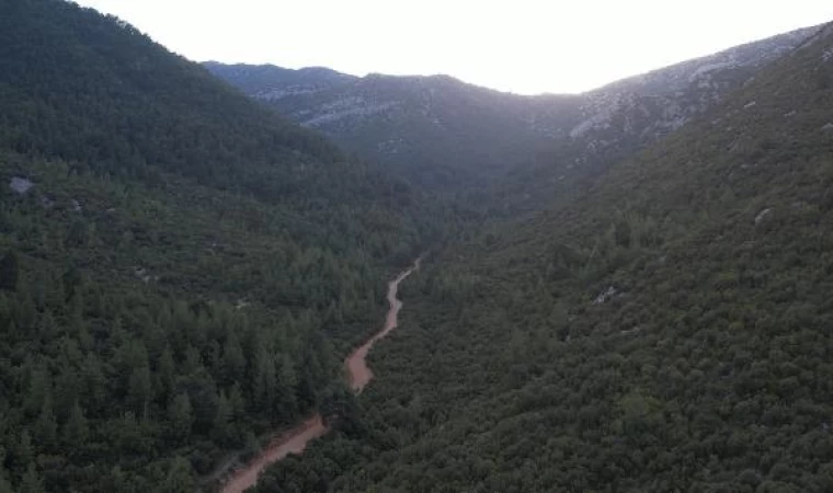 OYAK Çimento’nun Antalya’daki üretim sahası yeniden doğaya kazandırılıyor