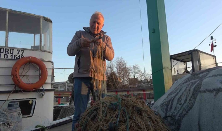 Rotayı Marmaraya çeviren balon balığı balıkçıları endişelendirdi