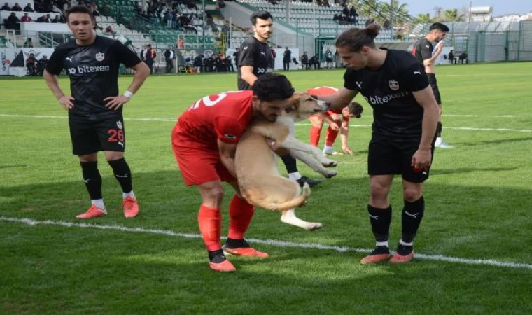 Sahaya giren köpeği futbolcular çıkardı