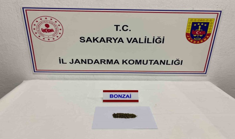 Sakaryada jandarma ekiplerince 2 günde 12 şüpheli yakalandı