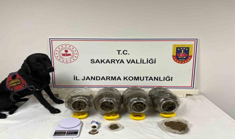 Sakaryada jandarma suça geçit vermiyor: 6 tutuklama