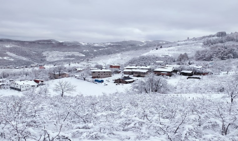 Sakaryanın yüksek kesimlerine kar ile gelen güzellik