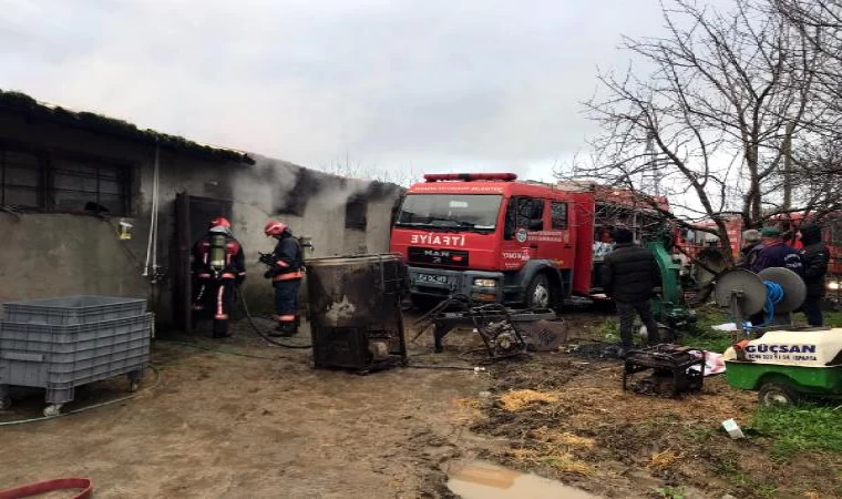 Samanlık ve ahır yangınında 9 büyükbaş öldü