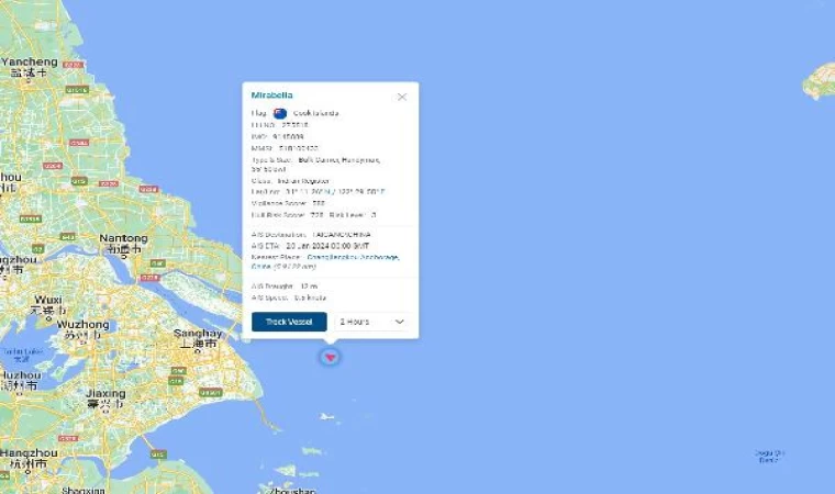 Şanghay açıklarında Türk denizcilerin bulunduğu gemi battı, 21 denizci kurtarıldı