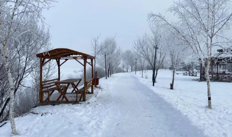 Sibirya soğuklarının etkisindeki Ardahan’da ağaçlar kırağı tuttu