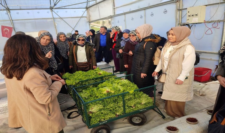 Topraksız tarım projesine kadın çiftçilerden yoğun ilgi