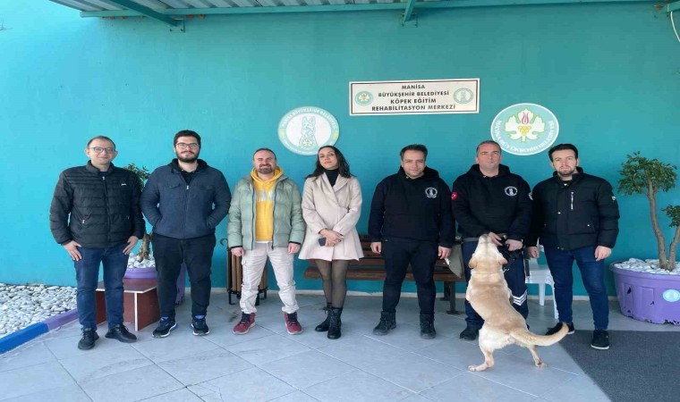 Trüf mantarını eğitimli köpekler bulacak