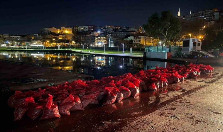 Üsküdarda 6 ton kaçak midye ele geçirildi