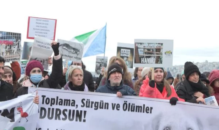 Üsküdar’da sokak hayvanları için eylem