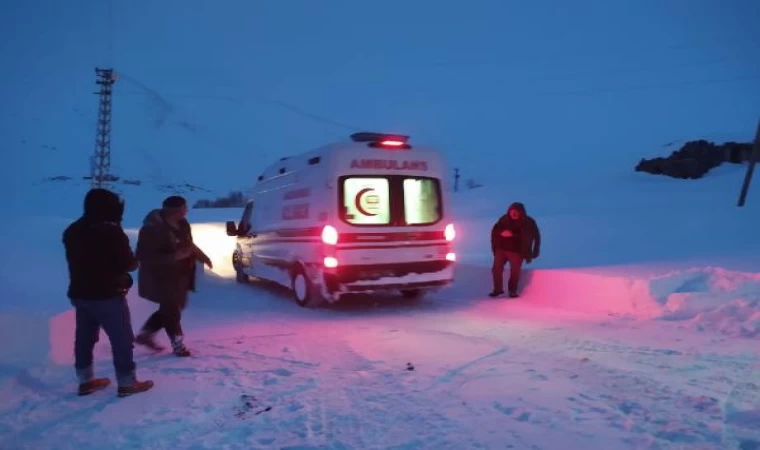 Van’ın yükseklerinde kar kalınlığı 1 metreyi aştı (3)