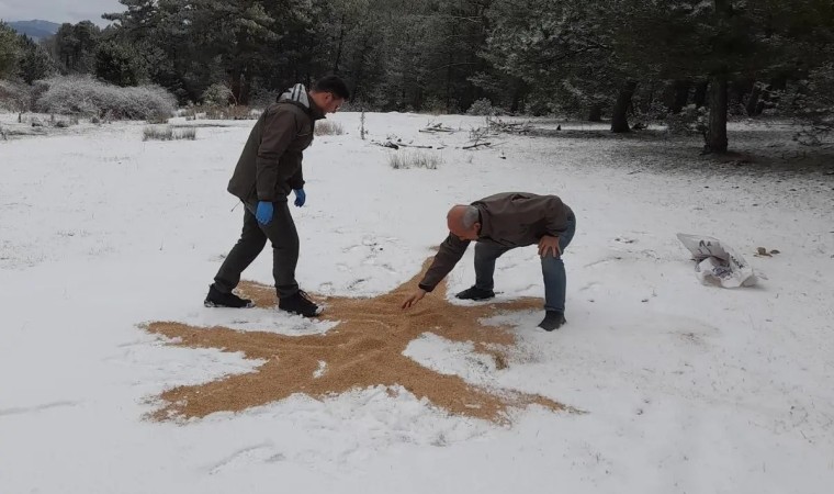 Yaban hayatı unutulmadı