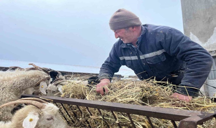 Yağan kar ve ayazla birlikte besicilerin işleri güçleşti