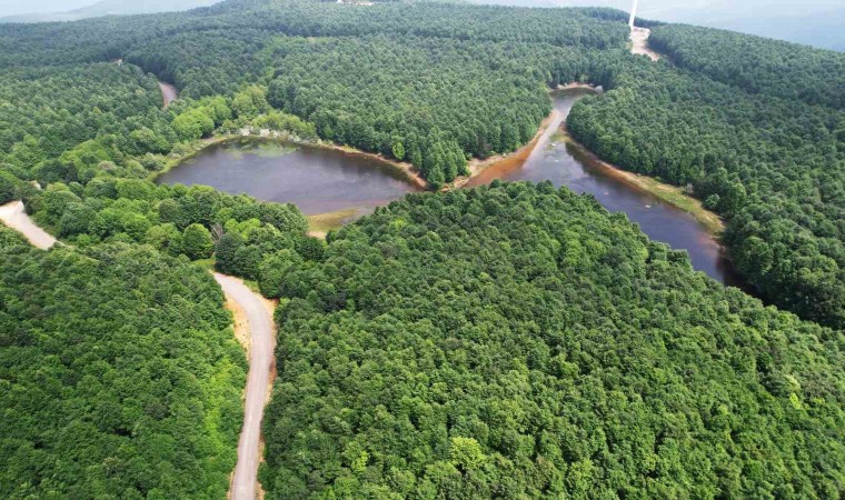 Yalovanın yeni rotası: Doğa turizmi