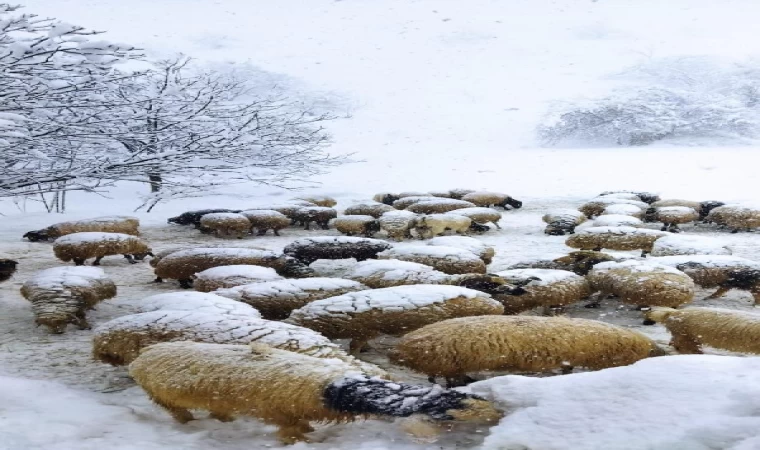 Yolu kar ve çığdan kapanan mahalledeki hasta çocuk, paletli ambulansla alındı