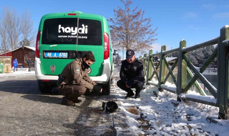 Yozgatta polis ekipleri sokak hayvanlarını unutmadı