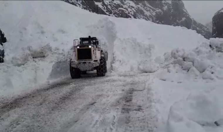 Yüksekovada düşen çığ nedeniyle kapanan yol ulaşıma açıldı