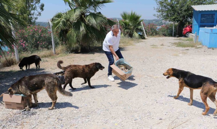 Adanalı kebapçı sokak hayvanlarını unutmuyor