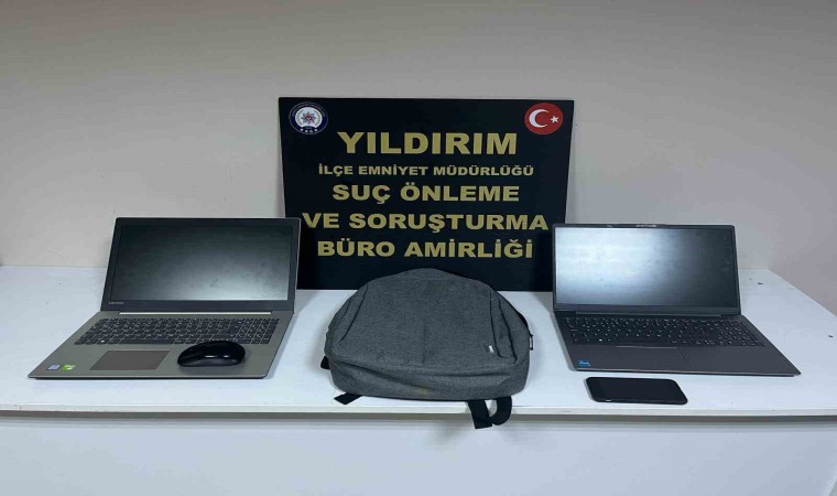 Ağaca çıkan maymun değil hırsız... Çıktığı ağaçta polise el salladı