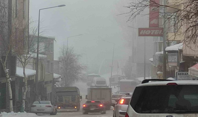 Ardahanda soğuk hava ve sis etkili oldu