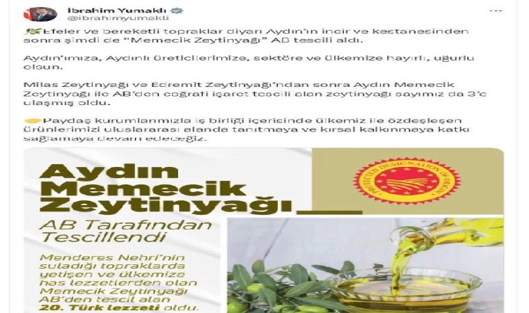 Aydın memecik zeytinyağı, AB’den coğrafi işaret tescili aldı