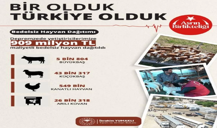 Bakan Yumaklı: 909 milyon TL maliyetli bedelsiz hayvan dağıtıldı