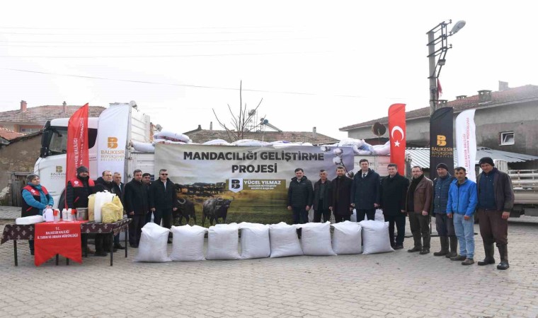 Balıkesir Büyükşehirden manda yetiştiricilerine destek