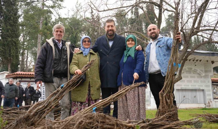 Balıkesir Büyükşehirden Sındırgıya 16 bin ceviz ve badem fidanı