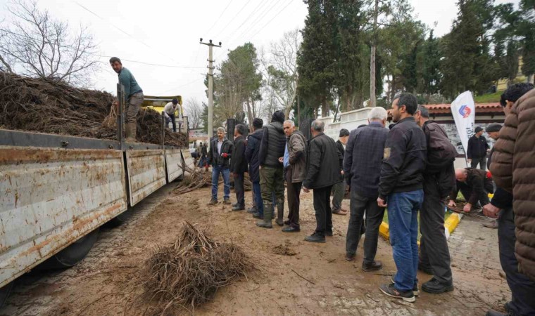 Balıkesir Büyükşehirden üreticilere meyve fidanı desteği