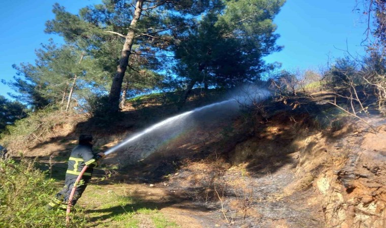 Belende ormanlık alanda çıkan yangın söndürüldü